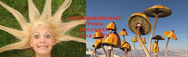СК Абинск