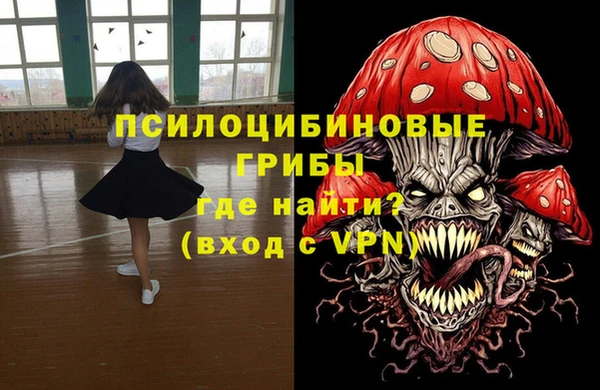 СК Абинск