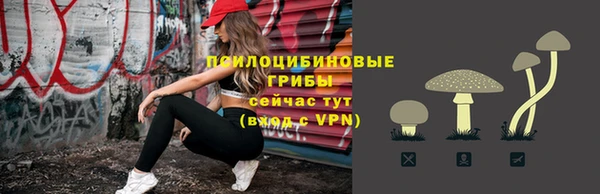 ПСИЛОЦИБИНОВЫЕ ГРИБЫ Абаза