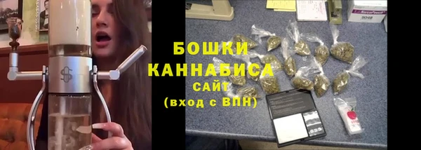 ПСИЛОЦИБИНОВЫЕ ГРИБЫ Новокубанск