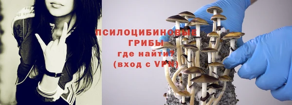 ПСИЛОЦИБИНОВЫЕ ГРИБЫ Абаза