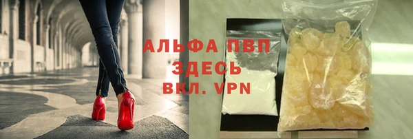 амф Новодвинск