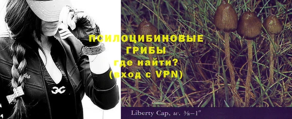 ПСИЛОЦИБИНОВЫЕ ГРИБЫ Абаза
