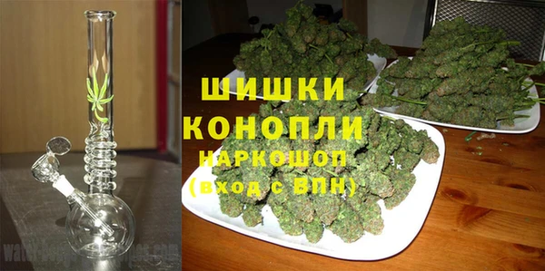 СК Абинск