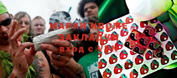 ПСИЛОЦИБИНОВЫЕ ГРИБЫ Абаза