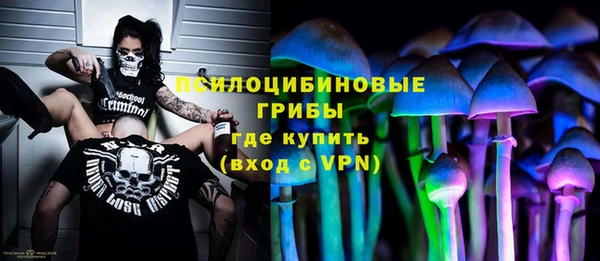 ПСИЛОЦИБИНОВЫЕ ГРИБЫ Абаза